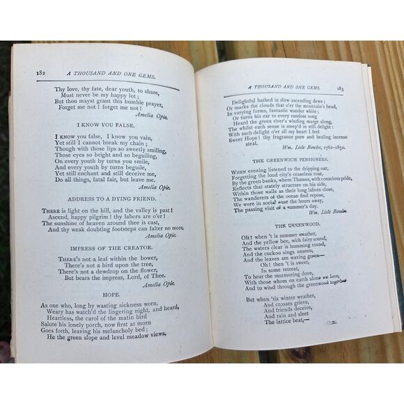 Rare 1884 A Thousand and One Gems English Poetry Antique HC Book Flowers - Picture 7 of 7